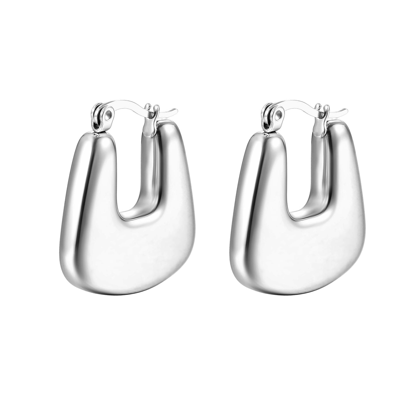 Argent Sculpté Earrings